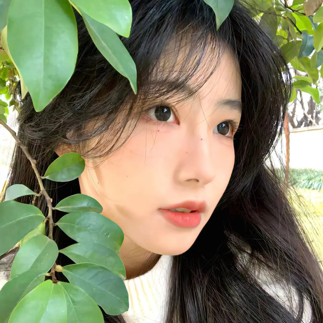 莱卡